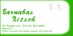 barnabas nitsch business card